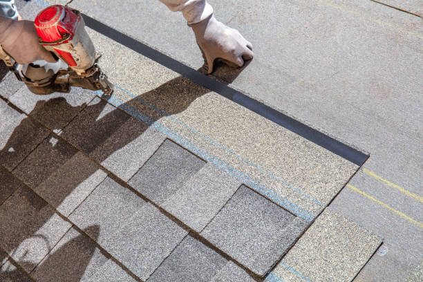 Best Storm Damage Roof Repair  in Greenville, PA